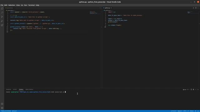 How to Call a Python Script From JavaScript (AND PASS DATA BETWEEN) смотреть онлайн