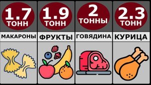 Сколько Еды Съедает Человек За Целую Жизнь?!!