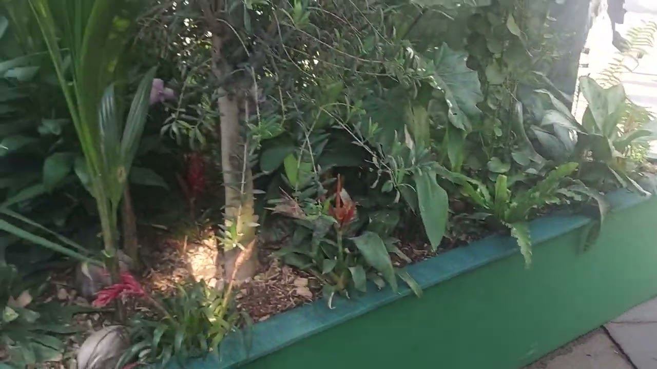 Фестиваль "Цветочный джем". Тропический лес на площади у ЦУМа (26.08.22)