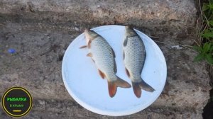 зарыбляю своими силами бесплатный водоём в крыму 18.07.2021!!! Рыбалка в Крыму!