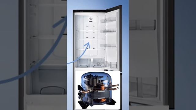 УСТРОЙСТВО ХОЛОДИЛЬНИКА С NO FROST #ремонтхолодильников #ремонтхолодильника #ремонтбытовойтехники смотреть онлайн