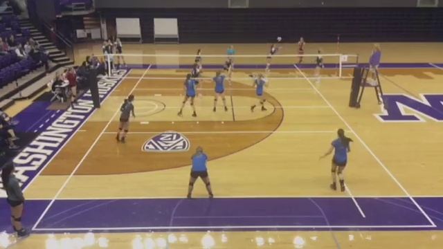 Court 2 8PM Excel NW 18-3 Silver (CE) (9) vs. YVBA 18-1 Black (CE) (16) смотреть онлайн