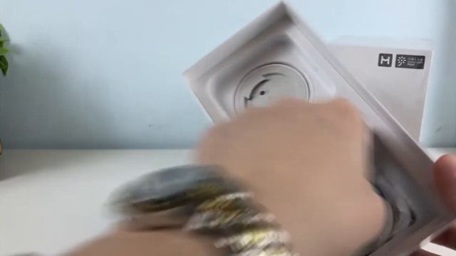 Обзор на уличную Ip-камеру видеонаблюдения Xiaomi Mijia Outdoor Smart camera смотреть онлайн