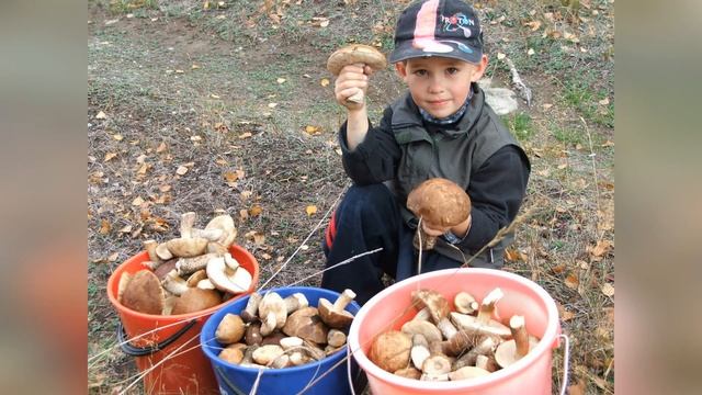 Гномик в гостях у летних месяцев смотреть онлайн