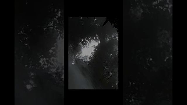 Звук водопада в летнем лесу ночью