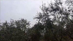 Путешествие в город Перге / Древнейший греческий город в Турции / #Turkey #Antalya #Perge