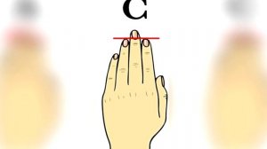 Тест Что говорит о вашем характере длина пальцев руки