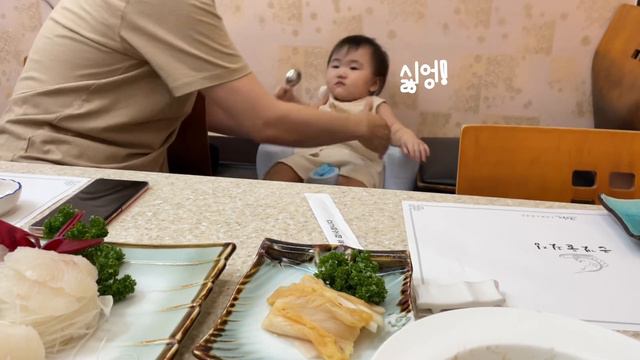 [sub]아기랑 제주도🏝2주여행, 목포에서 배🛳 타고 가요! , 브런치먹고 카페가고, 제주 신라호텔 망고빙수 영접! 그리고 끝없는 걸음마연습🔥13개월아기 육아브이로그