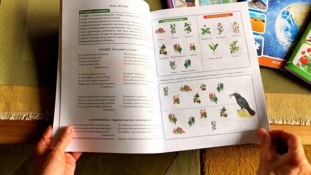 В МИРЕ ЖИВОЙ ПРИРОДЫ. Развитие кругозора, речи и познавательных способностей смотреть онлайн