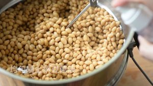 自製納豆❗️沒你想像中的難?  How to Make Natto at Home (The Complete Guide)