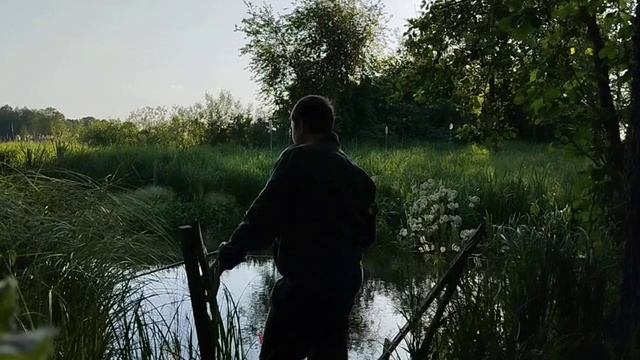 Рыбалка на вечерней зорьке. Много плотвы. Рыбалка 54 смотреть онлайн