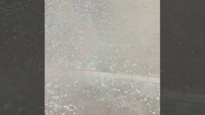 Мозаично шлифовальная машина по бетону