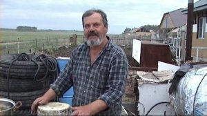 вешенка на пнях, Экстенсивный способ выращивания грибов, на пнях (вешенка)