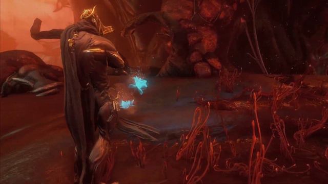 Warframe- Peach Blossom Ephemera