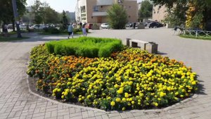 Улица Гагарина в Ленинском районе города Челябинска