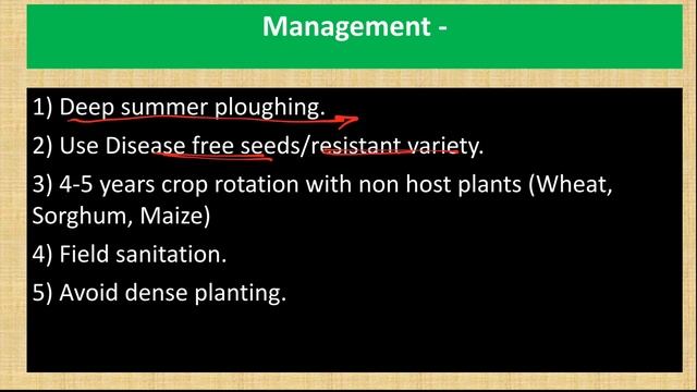 Diseases of Sunflower | Sclerotinia Stem rot and Alternaria Blight