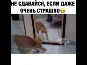 не сдавайся когда очень страшно