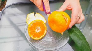 Мандарин  "SAIGON SRA 29"