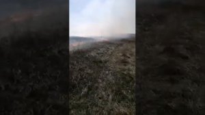 Подготовка поля под сенокос. Спалил старую траву.