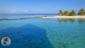 Sun Siyam VILU REEF Maldives 4K 🌞REEF Villa | Overwater Room TOUR UHD | Vlog Maldives Islands