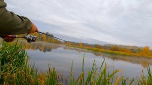 Рыбалка на спиннинг на реке Аять в конце сентября, где щука.