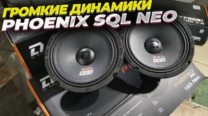 Установил самые громкие динамики Phoenix SQL 165 Neo от DL Audio