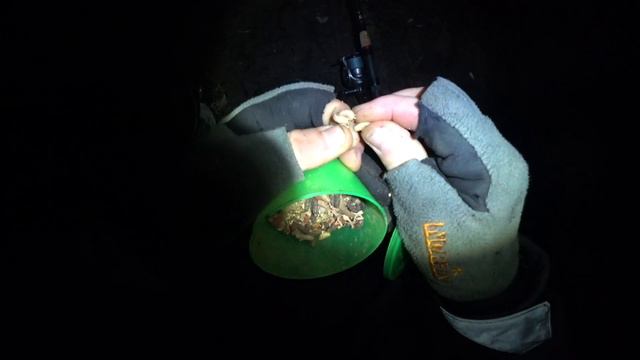 Киев. Зимний фидер в КаЙФ. Рыбалка на Днепре смотреть онлайн