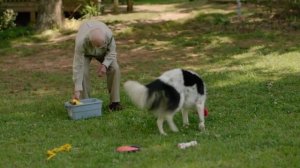 Самая умная собака в мире! Чейсер! Бордер-Колли, которая знает более 1000 слов!