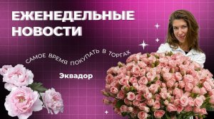 ЕЖЕНЕДЕЛЬНЫЕ НОВОСТИ