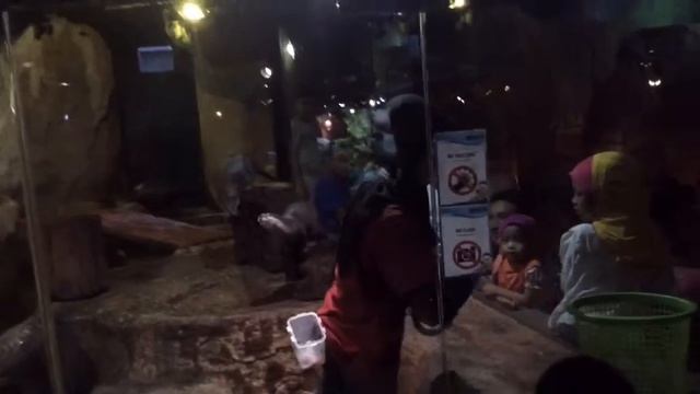 Aquaria in Kuala Lumpur, Malaysia / Достопримечательности Майлайзии смотреть онлайн