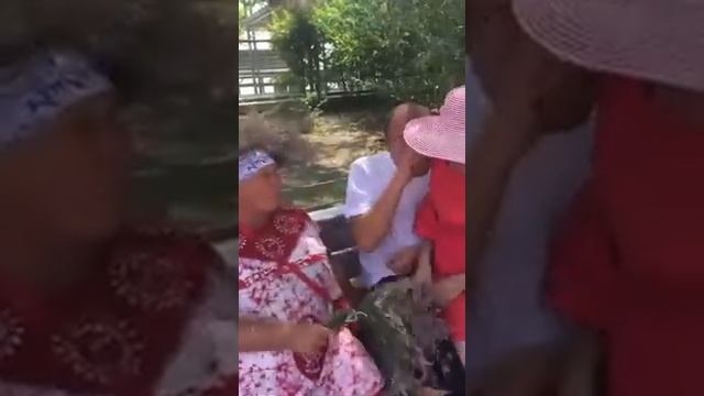 Заговор Вовочки смотреть онлайн