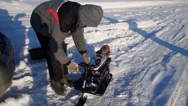 P1280238 смотреть онлайн