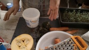 Почему куры клюют яйца? Как справится с этой проблемой?