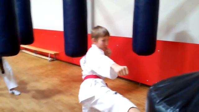 Mannequin challenge в клубе тхэквондо "Силла" (Москва) смотреть онлайн