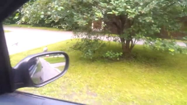 Вяхирь в городе. смотреть онлайн