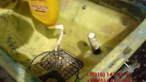 Удобрение Биоплант Флора batat.flv