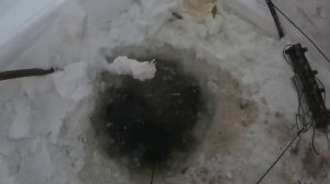 Проверка перемета 04.12.2022, и снова неплохой улов