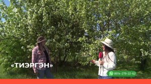 «Тиэргэн» (08.06.22)