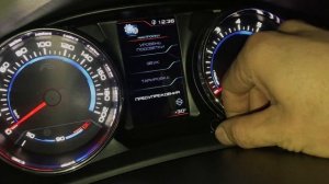 Самостоятельная прошивка GF890 PH2 с 5.07 на 5.10 Рено Сандеро Степвей 2015