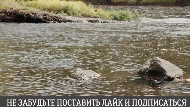 Как не надо доверять женщине...хотя сам...ду...Интересные истории из жизни. Аудиорассказ смотреть онлайн