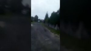 Польша прикол 2019