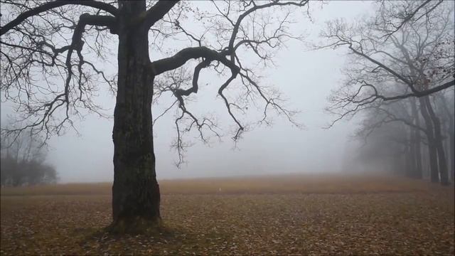 Rakkauslaulu. Песня о любви. (фин/рус) смотреть онлайн