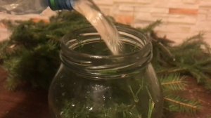 Рецепт полезного настоя из еловых иголок