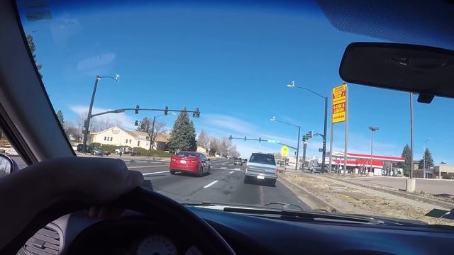 Парк для собак в США. Наши питомцы. смотреть онлайн