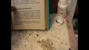 " Голуби " 1.ч. ЛЕЧЕНИЕ СОДЕРЖАНИЕ И ПРОФИЛАКТИКА ГОЛУБЕЙ "