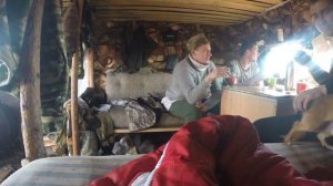 охота на гуся весна 2020 (северные болота)