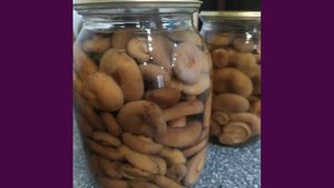 маринованные рыжики