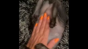 Сфинкс кошки ?⬛,одежда для кошек.Вязаные носки и «сапожки»для Babys ? крючком.