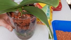 Серамис и Цеофлора для орхидей.Что это такое?