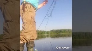 Постановка и проверка сетей